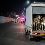 वाहन में ठूंसकर ले जा रहे थे 10 मवेशी, 5 गाय और 5 बछड़े बरामद